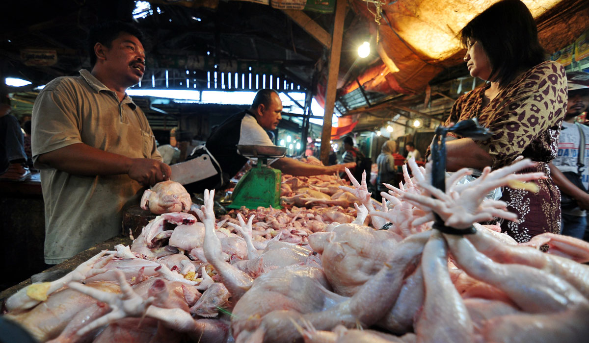 Harga Pangan Hari Ini Jumat 23 Juni : Daging Ayam dan Gula Pasir Naik